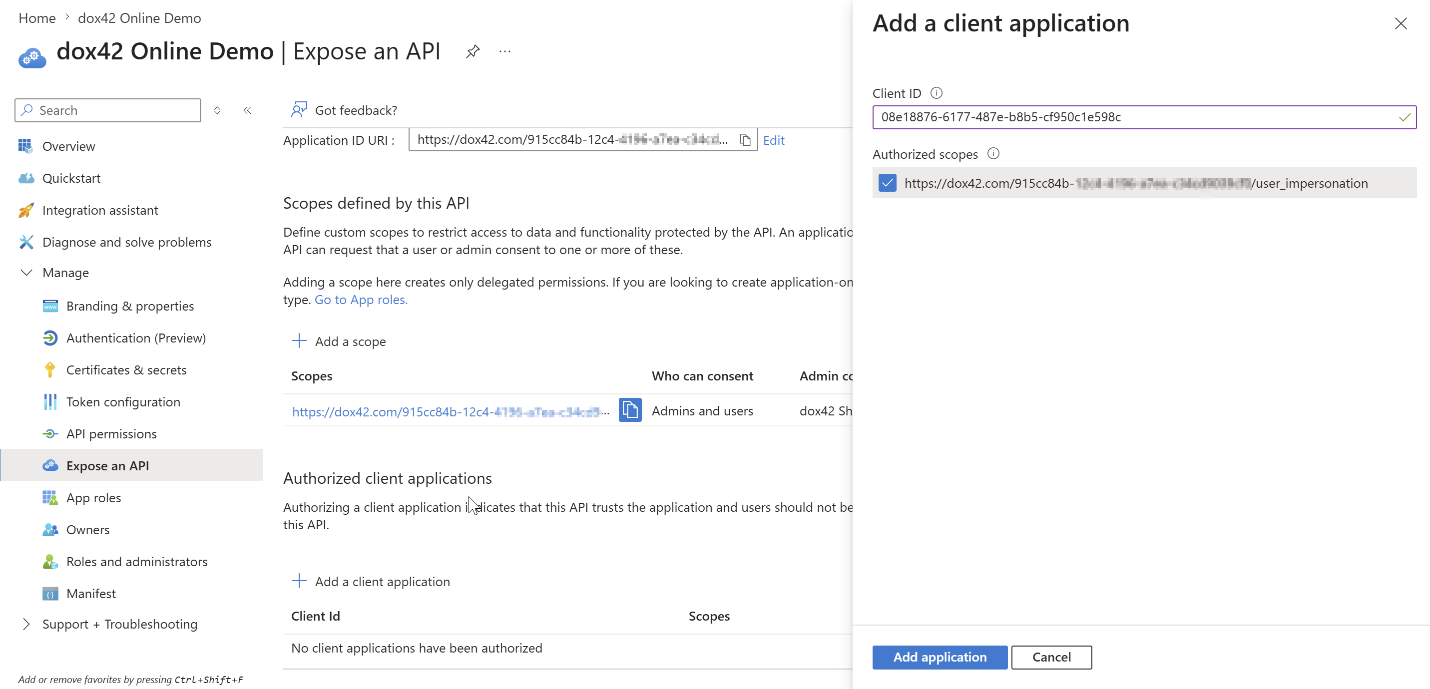 Interface for exposing an API with client application details and authorization scopes.